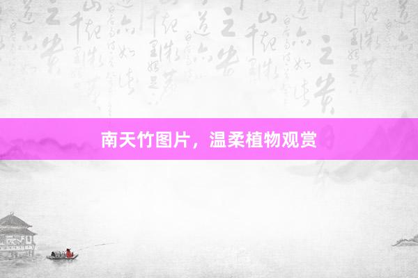 南天竹图片，温柔植物观赏