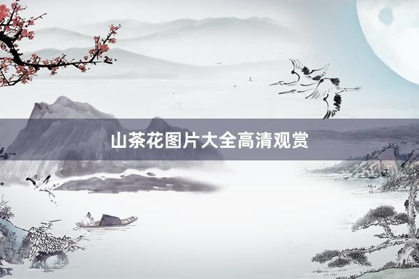 山茶花图片大全高清观赏