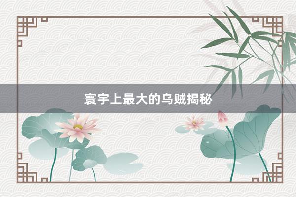 寰宇上最大的乌贼揭秘