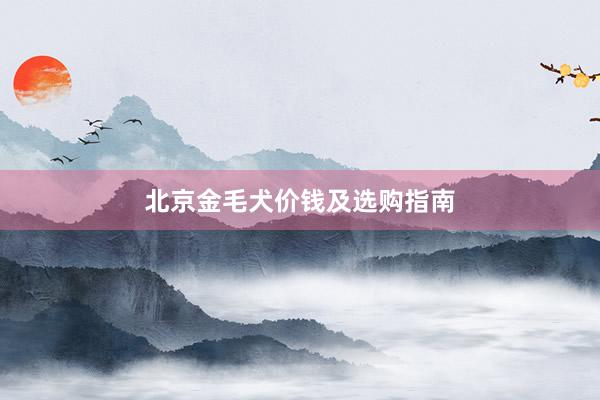 北京金毛犬价钱及选购指南