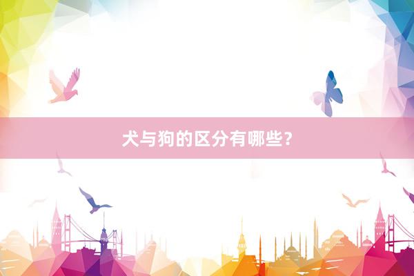 犬与狗的区分有哪些？