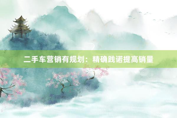 二手车营销有规划：精确践诺提高销量